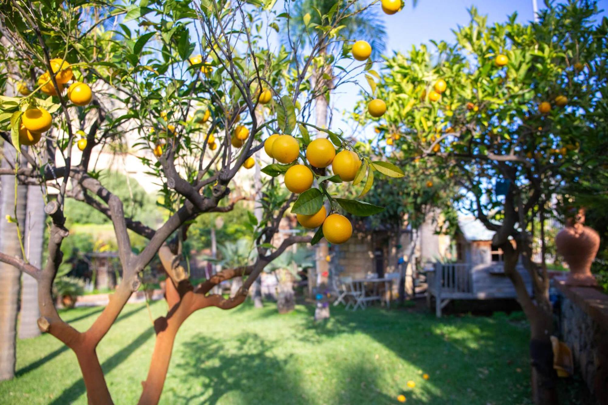 Villa Caterina - Solemar Sicilia Cefalù Εξωτερικό φωτογραφία